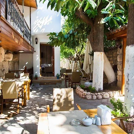 فندق Mia